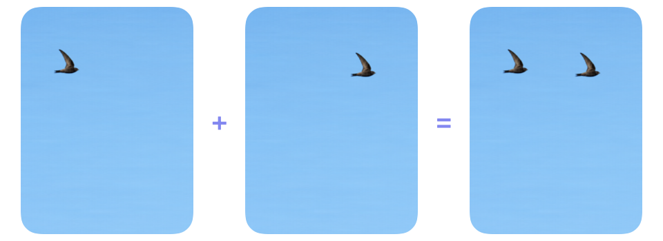 Two aligned photographs show a dark bird in different positions against the same sky, followed by their darken blend containing both birds