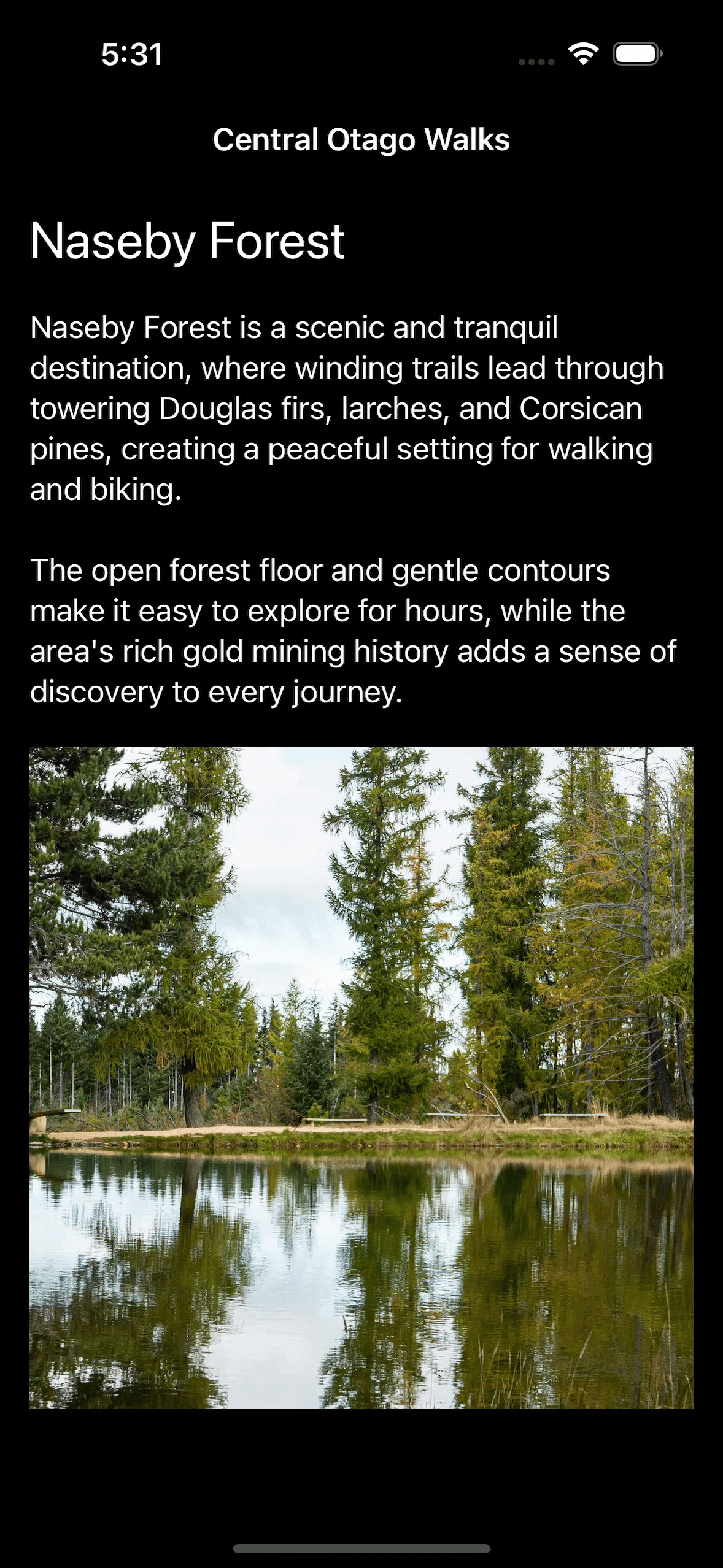 iOS screen with default text size showing static layout without any scrolling or bounce