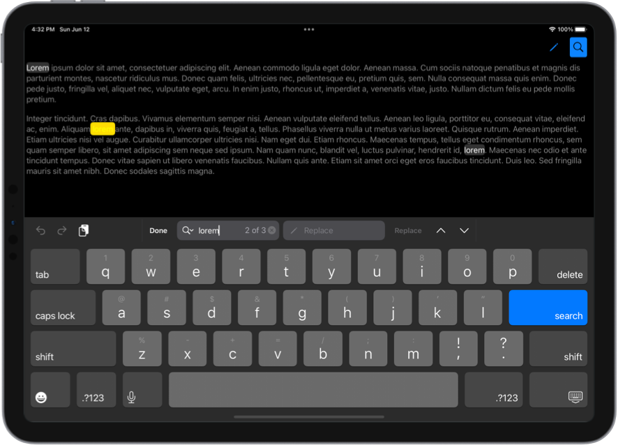 Screenshot of iPad simulator with a text editor and find and replace interface activated