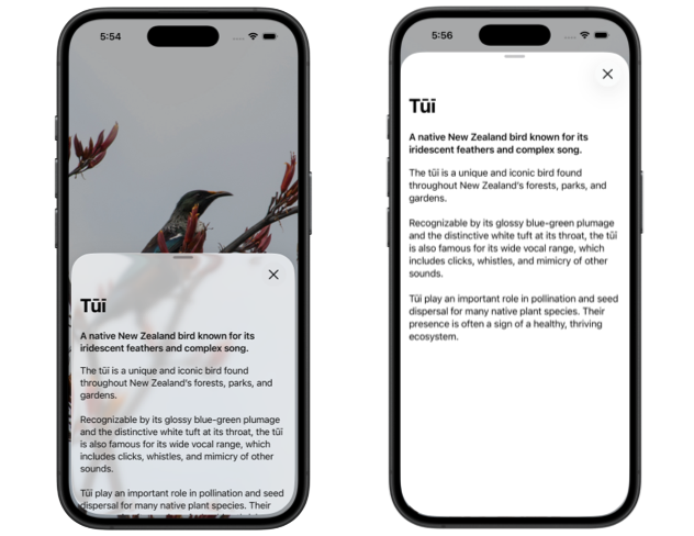 Two iPhones showing a partial and full-height SwiftUI sheet with Liquid Glass styling