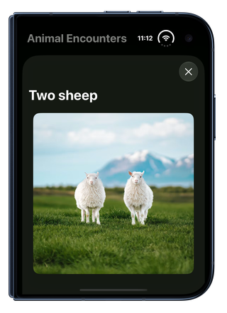A photo sheet on the outer display of iPhone Duo with vertical bars disabled: the close button appears at the top of the sheet, below the camera and repositioned status bar