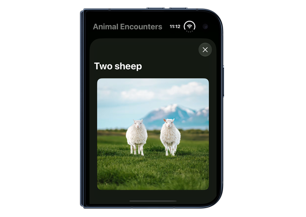 A photo sheet on the outer display of iPhone Duo with vertical bars disabled: the close button appears at the top of the sheet, below the camera and repositioned status bar