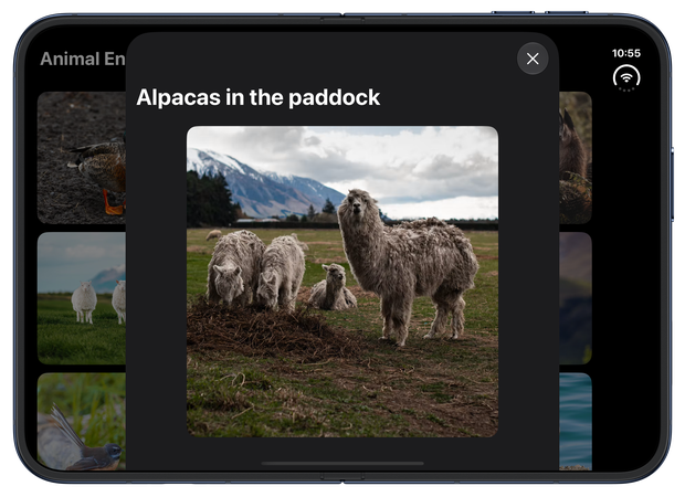An alpaca photo in a centered sheet on the inner display of iPhone Duo, with the close button in the horizontal toolbar at the top
