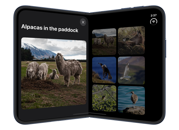 With iPhone Duo partially folded, the alpaca photo sheet occupies the left side of the inner display, leaving the center clear and the dimmed gallery visible on the right