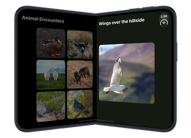 A trailing photo sheet on the partially folded iPhone Duo inner display with its close button obscured by the system status display in iOS 27.1 beta