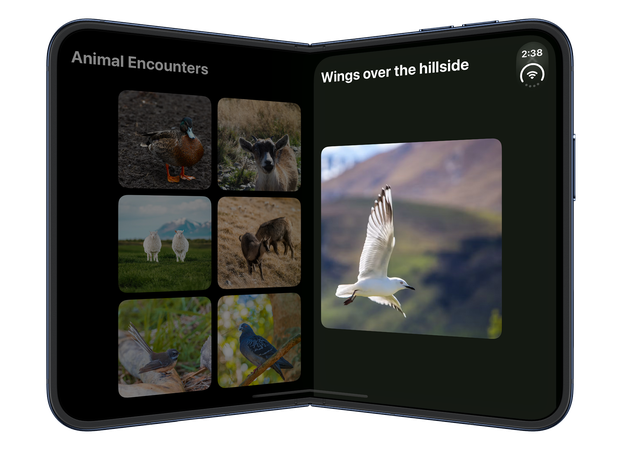 A trailing photo sheet on the partially folded iPhone Duo inner display with its close button obscured by the system status display in iOS 27.1 beta