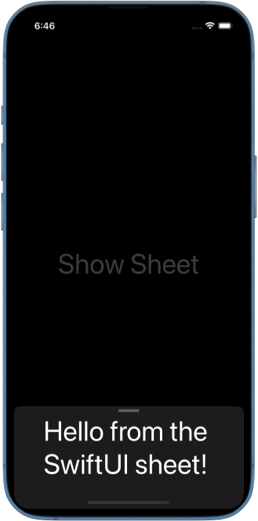 Screenshot of an iPhone with a sheet presented in small detent just wrapping the text inside that has large accessibility font