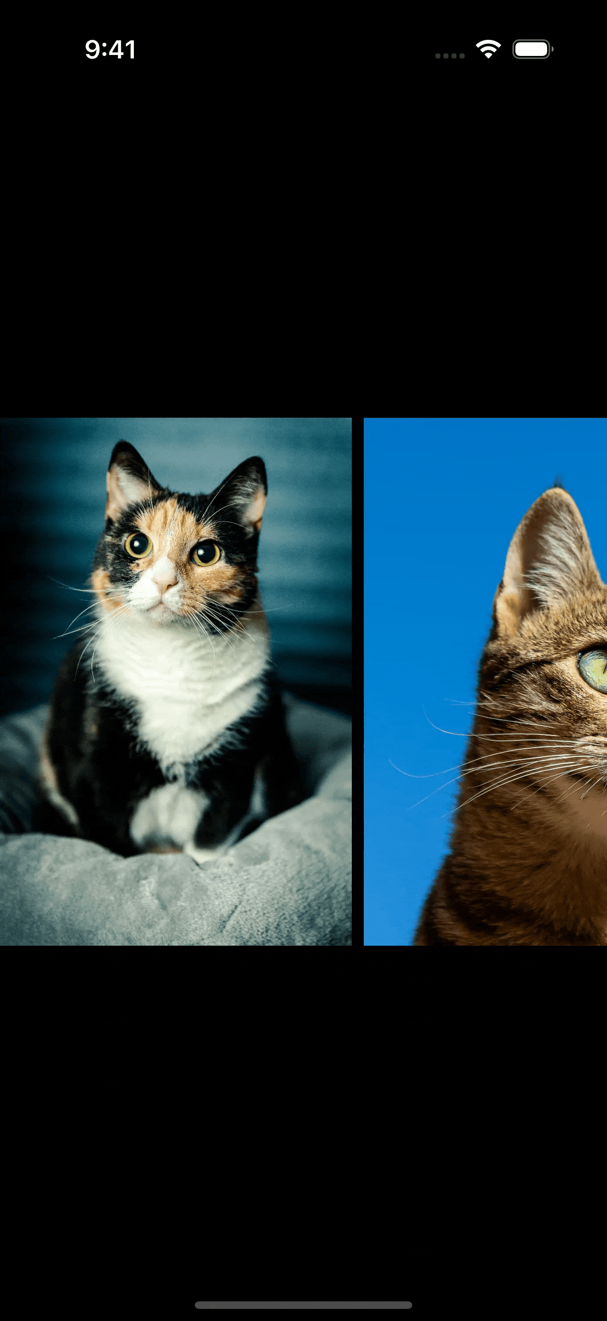 A horizontally scrolling gallery of cat photos where a wide image break the scrolling experience