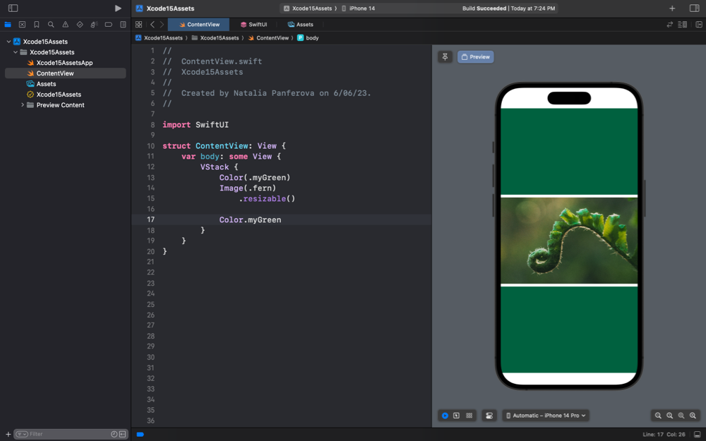 Screenshot of Xcode showing a fern image between two green color rectangles in a VStack in a SwiftUI preview on the side of the code